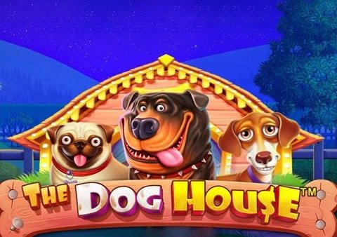Doghouse megaways slot